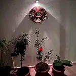 Apartament Cetinkaya 3 *